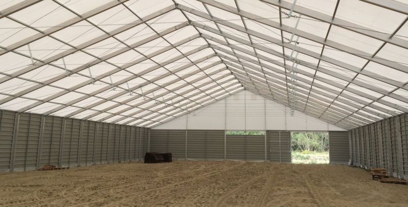 Hala- manej Chrząstawa Wielka k/Wrocławia