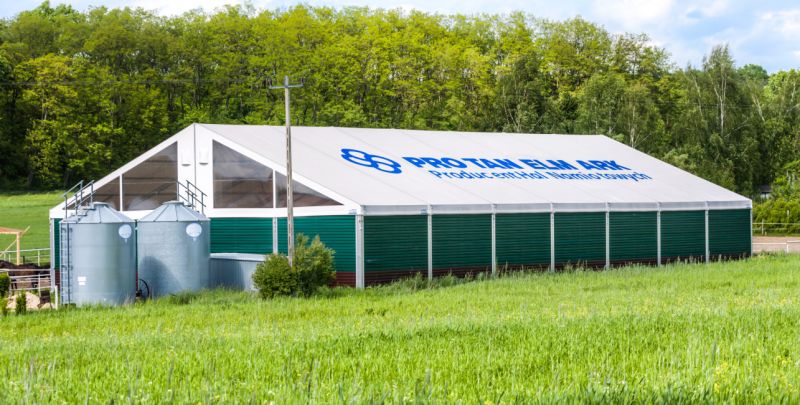 Hala- manej Świdnica k/Zielonej Góry