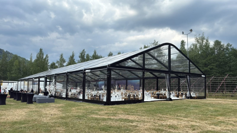 Hala-festivități Albesti