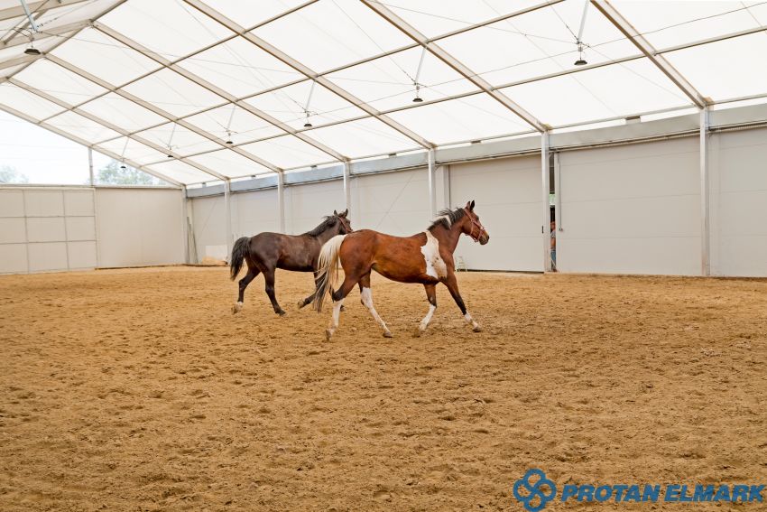 Hale pentru arene de echitație